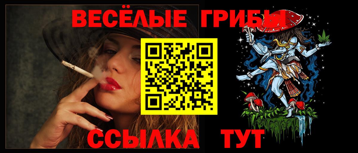 Псилоцибиновые грибы Magic Shrooms  Вход с VPN  Псилоцибиновые грибы Cubensis  Шахты 