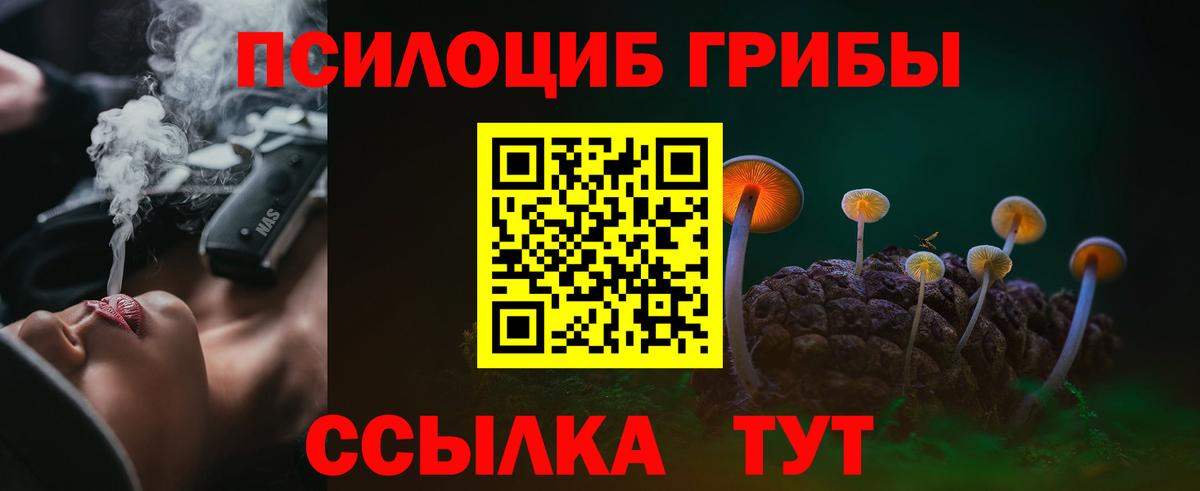Псилоцибиновые грибы Cubensis Шахты